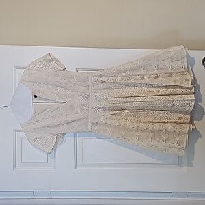 Fit and Flare Lace Cream A-Line Dress by BCBGMAXAZRIA